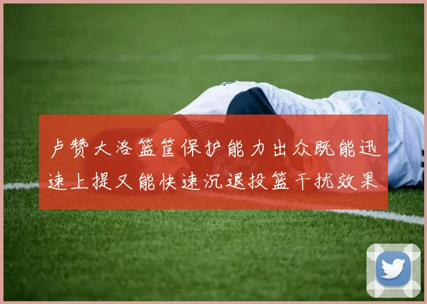 卢赞大洛篮筐保护能力出众既能迅速上提又能快速沉退投篮干扰效果显著