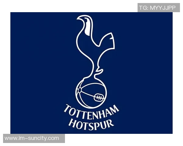 弗兰克谈热刺表现称机会多但未能锁定胜局冬窗引援难度加大将持续关注